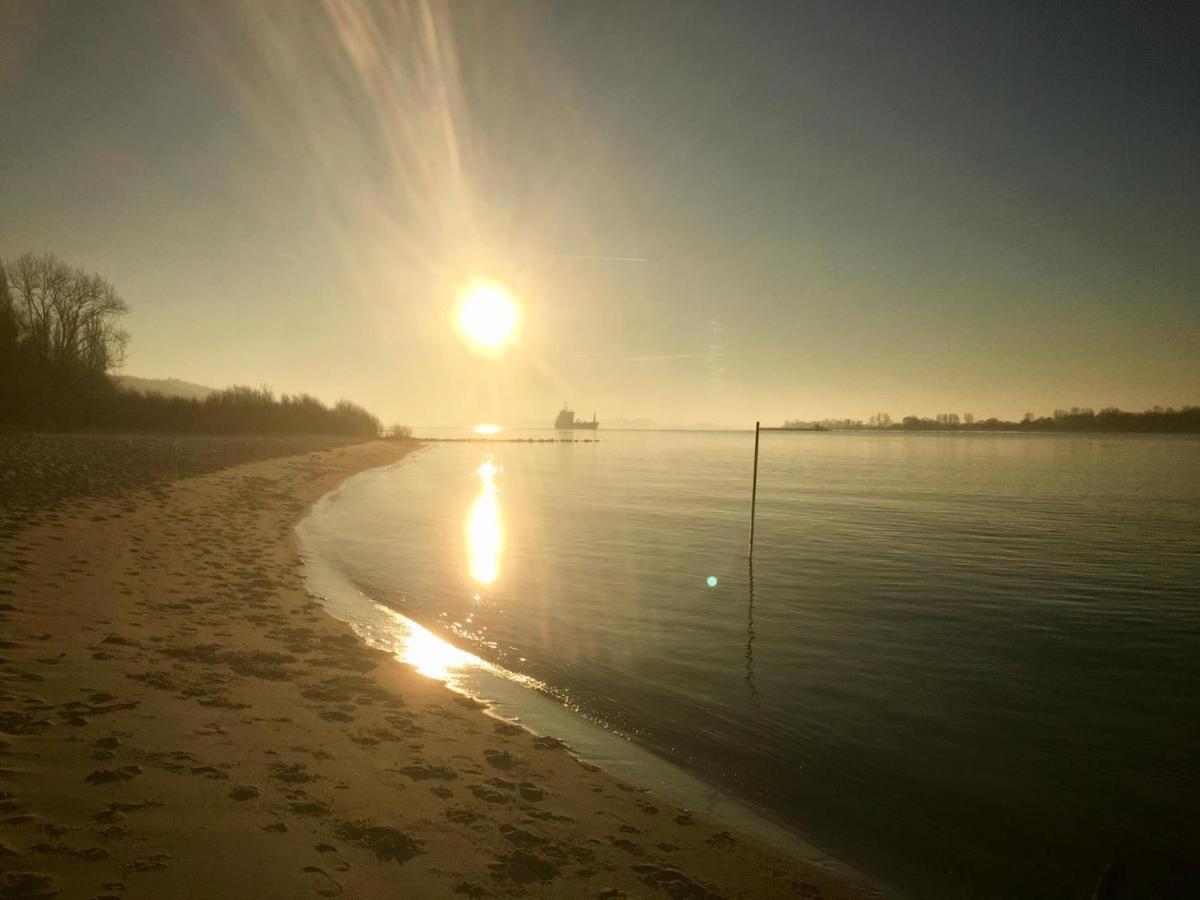 Wohnen Im Alten Land Grünendeich Exterior foto
